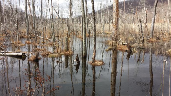 hike ringwood hasenclever iron trails