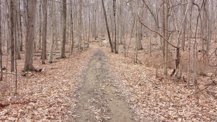hike ringwood hasenclever iron trails
