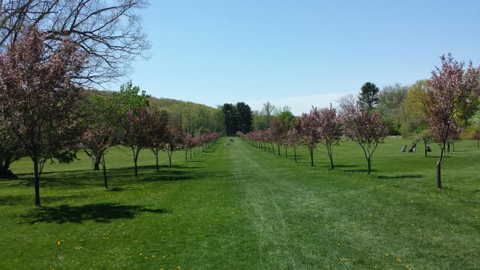 hike new jersey botanical garden