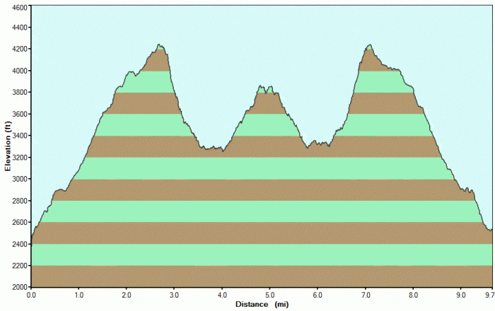Hiking - Slide Mountain, Catskill (9.7 miles) New York
