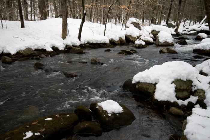 pine meadow lake loop trail