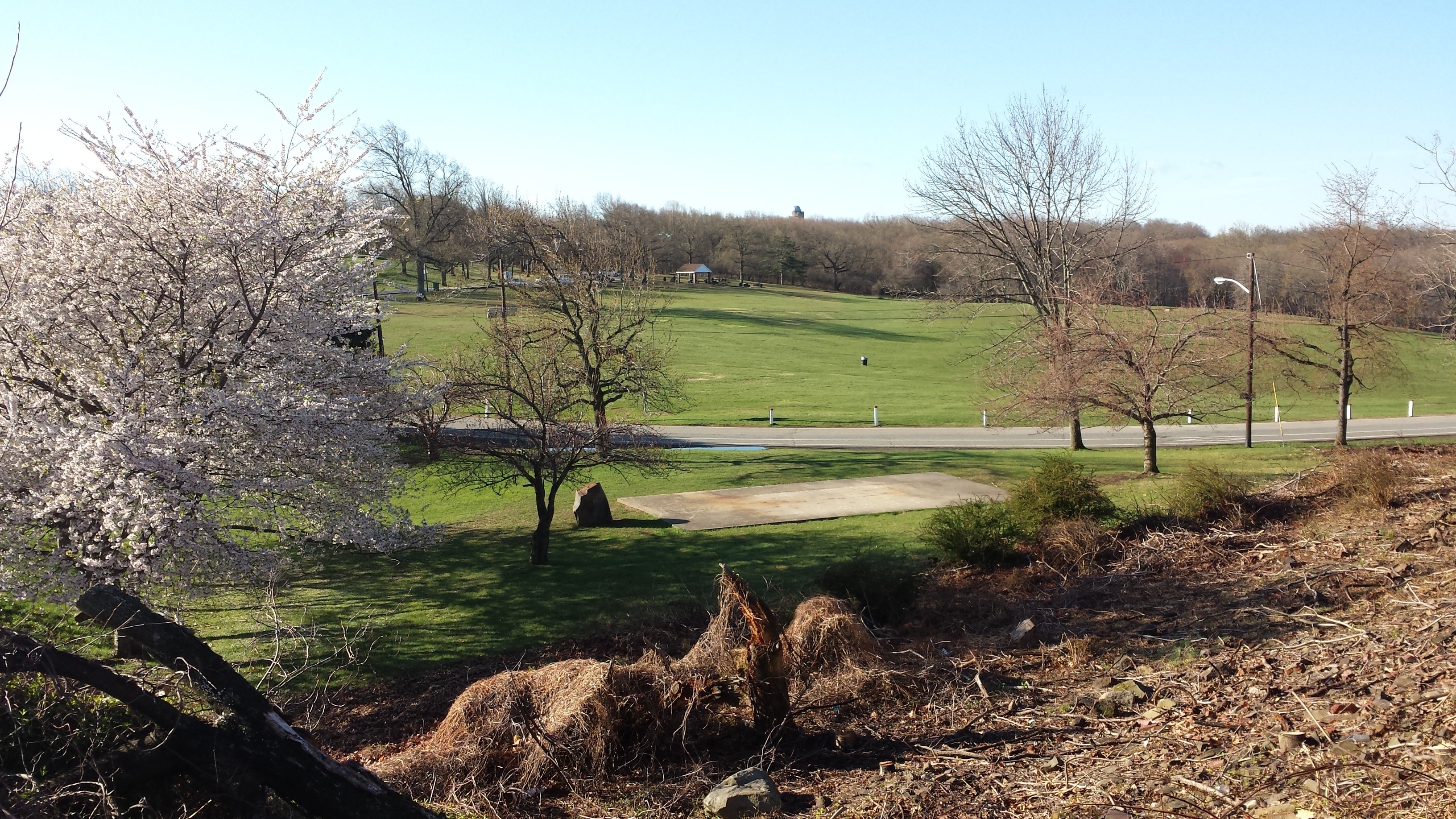 Great Meadow of Garret Mountain Reservation