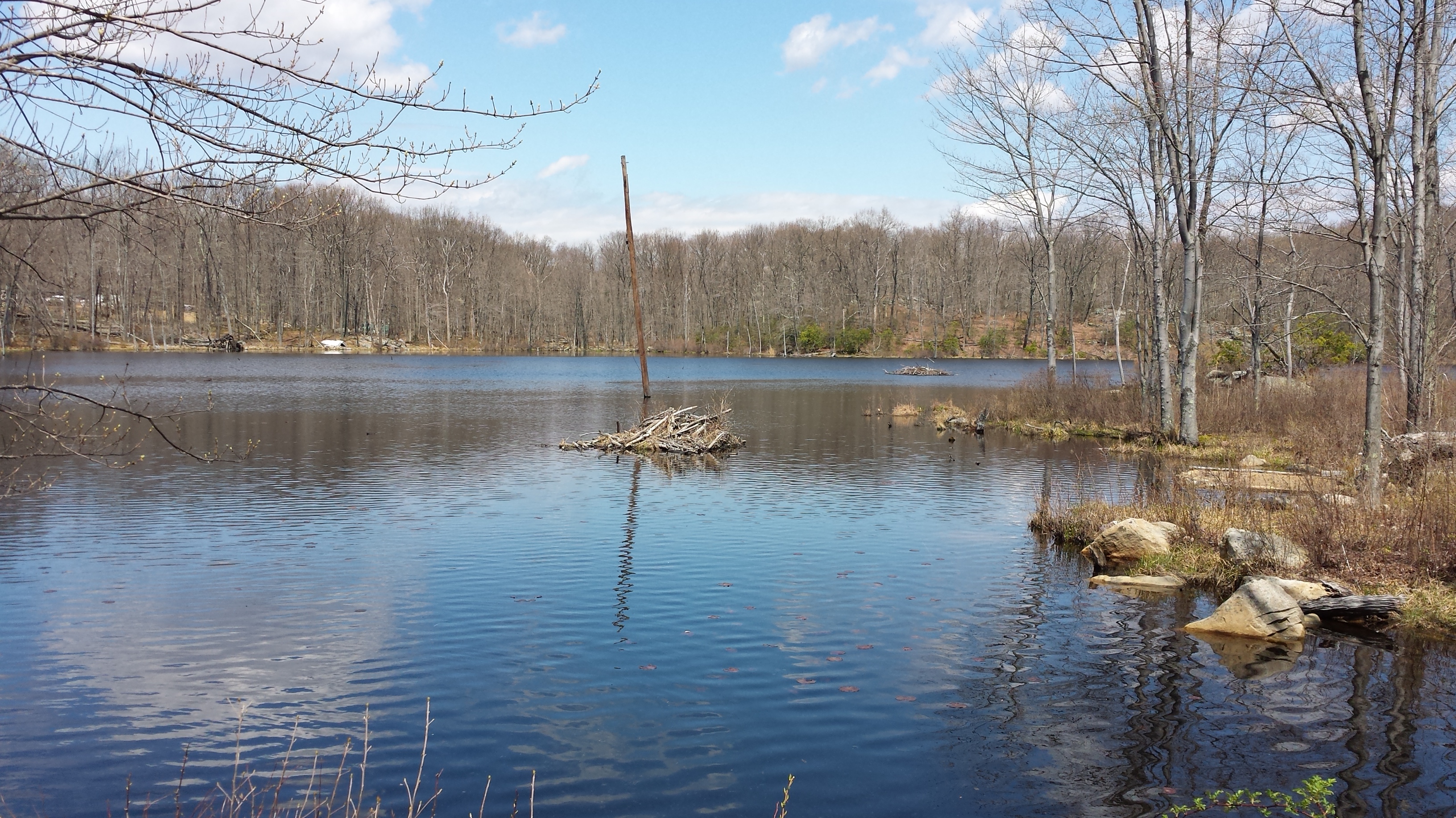 Beaver pond, at Solar Pond Road and Upper Hibernia Road