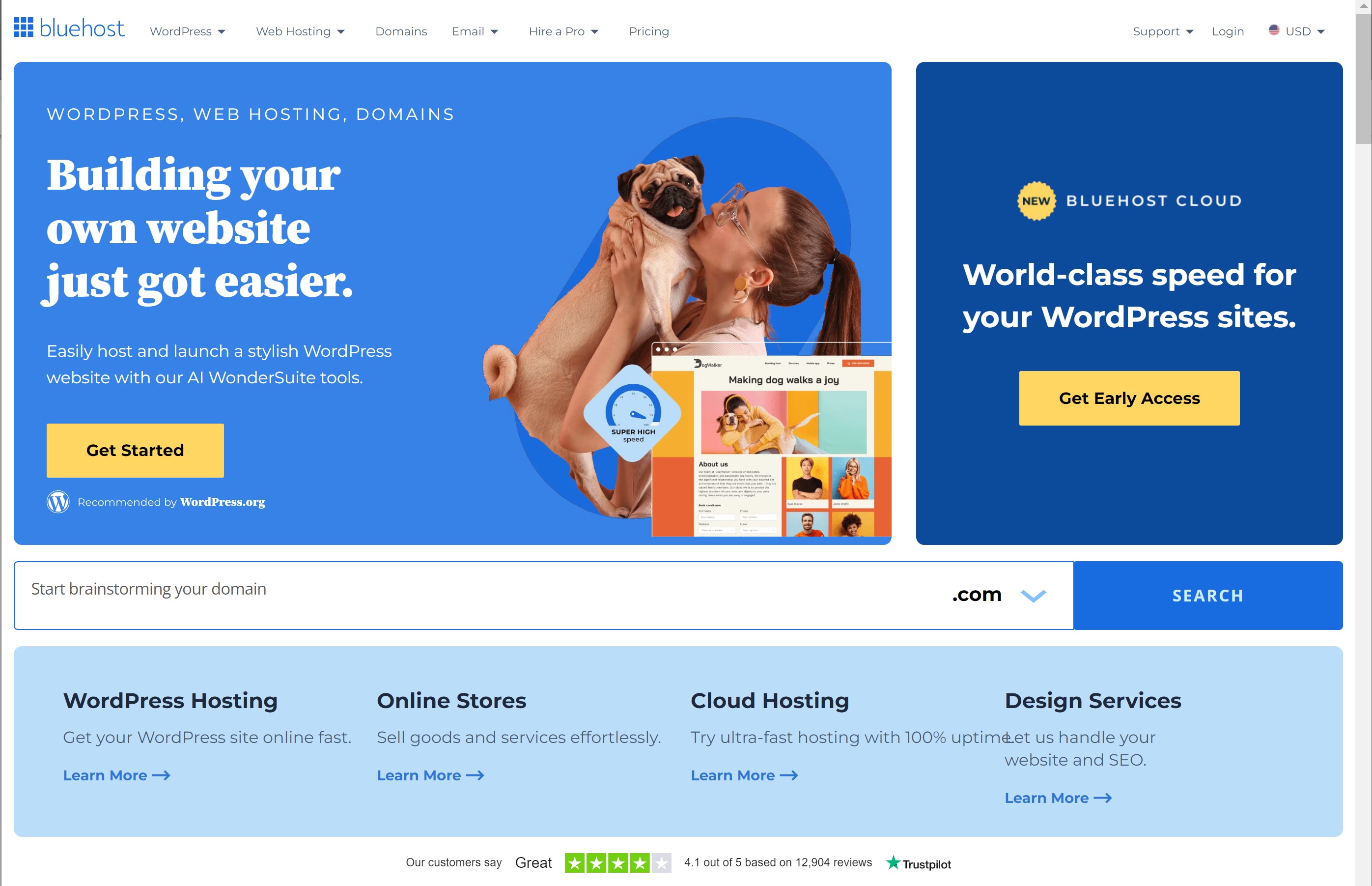 bluehost website