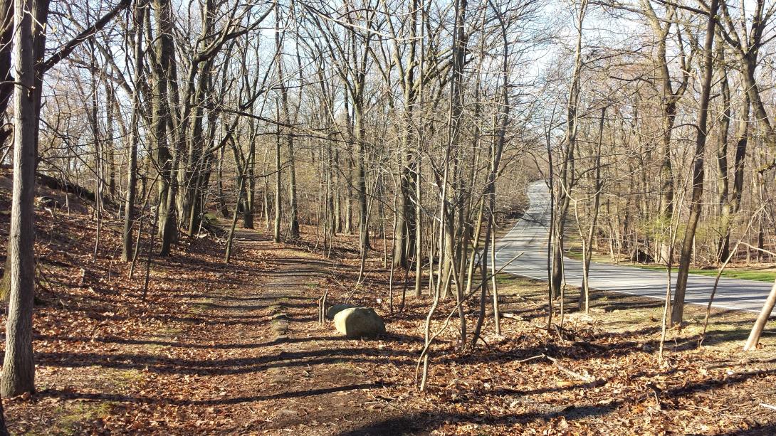 Park road, Garret Mountain Reservation