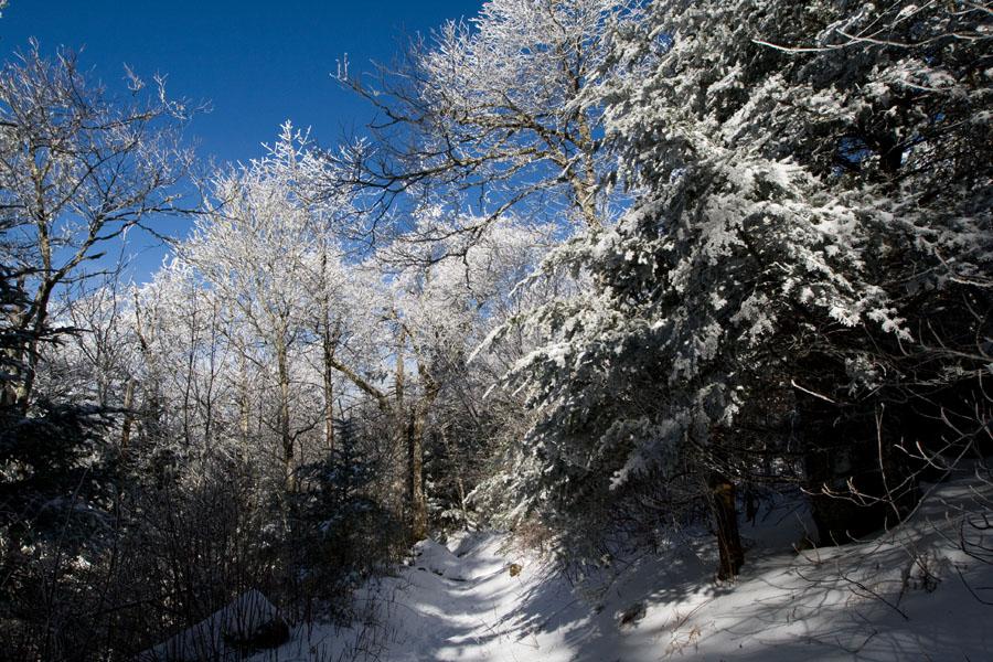 Hiking - Great Smoky Mountain Rainbow Falls Trail (13.6 miles) Tennessee